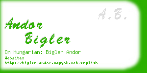 andor bigler business card